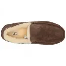 Купить UGG Mens Ascot Chocolate