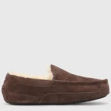 UGG Mens Ascot Chocolate