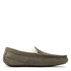 UGG Mens Ascot Taupe